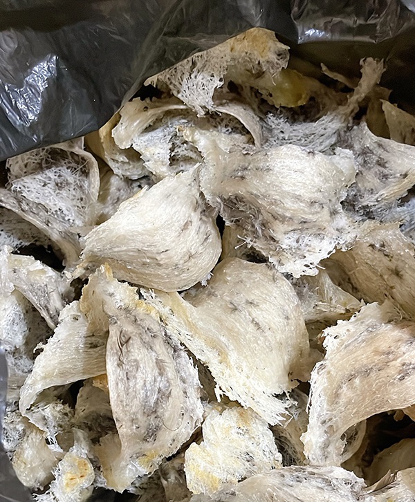 Yến thô thu hoạch sẵn sàng cho lễ sắp tới nha cả nhà Yến thô thu hoạch sẵn sàng cho lễ sắp tới nha cả nhà