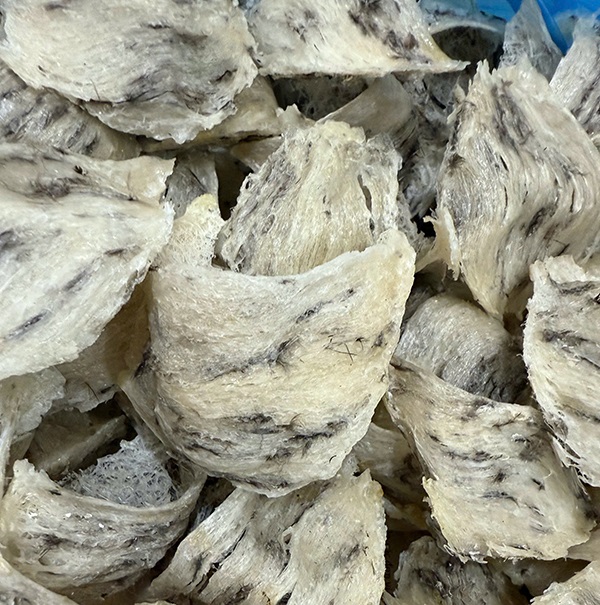 Tháng 7 này tổ yến giá hời ra sao